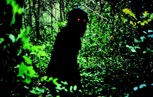 Uncle Boonmee erinnert sich an seine frühere Leben